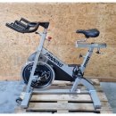 11 Stck im Set - Star Trac Spinner Pro Indoor Bike, Silber, gebraucht - geprfter Zustand